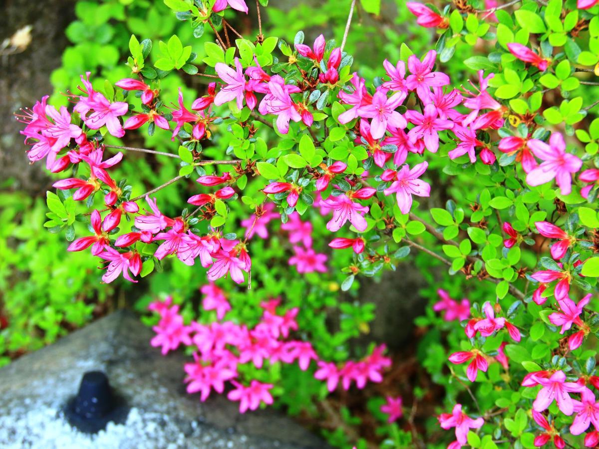 Hatago Chujikan Hotel มาเอะบาชิ ภายนอก รูปภาพ